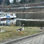 Apartmán An Der Elbe *