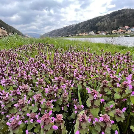 An Der Elbe Διαμέρισμα Bad Schandau