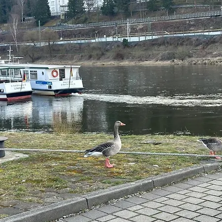 Apartment An Der Elbe *
