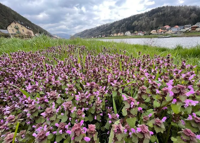 An Der Elbe Apartman Bad Schandau