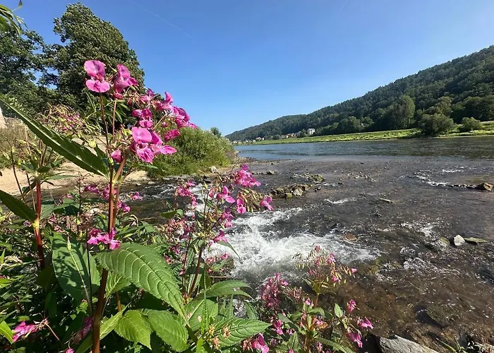 An Der Elbe Apartman Bad Schandau