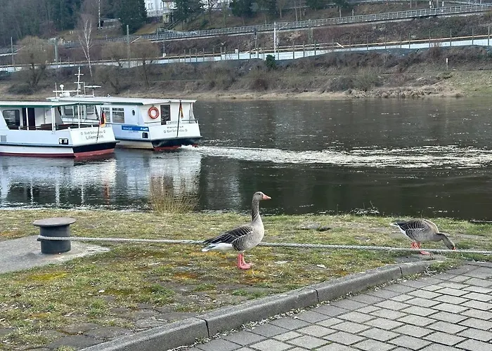 Apartman An Der Elbe